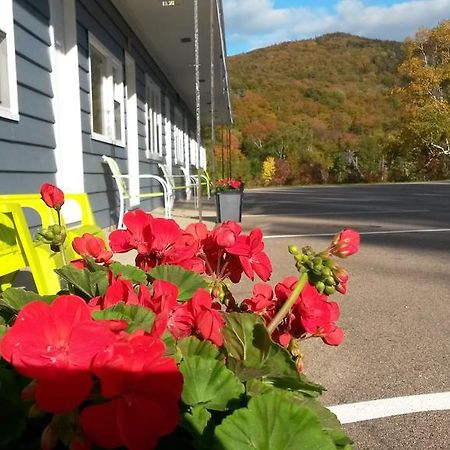 Cornerstone Motel Cheticamp Luaran gambar